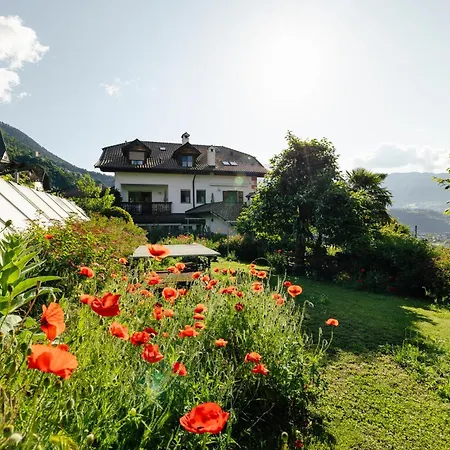 Hofer am Bach-3